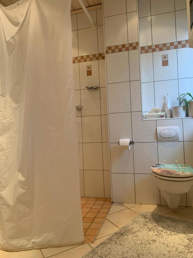 Cozy Private & Homestay